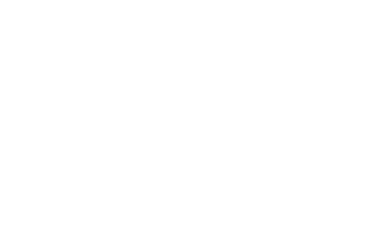 1904 Supplements